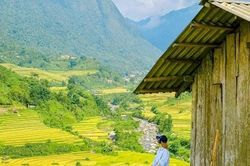 Sa Pa mùa lúa chín những góc sống ảo 'chất lừ' cho tín đồ mê ảnh