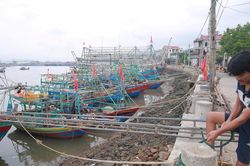 Ứng phó bão số 5, Nghệ An cấm biển từ 5 giờ ngày 24/8/2025