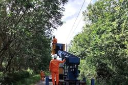 Điện lực Quảng Trị chủ động ứng phó bão số 5 để giảm thiểu thiệt hại lưới điện