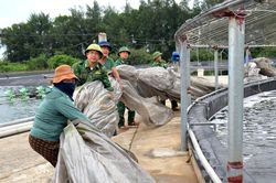 Biên phòng Nghệ An khẩn trương vào cuộc ứng phó bão số 5