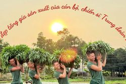 Nét đẹp tăng gia sản xuất của cán bộ, chiến sĩ Trung đoàn 20