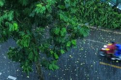 Dự báo thời tiết ngày 25/8: Bão số 5 giật cấp 17, di chuyển theo hướng Tây Tây Bắc