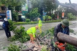 Bão số 5: Thanh Hóa triển khai phương án ứng phó sau khi bão đổ bộ