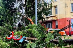 Những thiệt hại đầu tiên khi bão số 5 quét qua Nghệ An