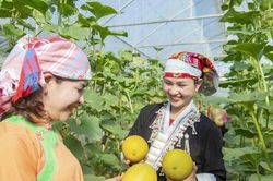 UNDP đánh giá cao cam kết của Việt Nam trong cải thiện đời sống cộng đồng dân tộc thiểu số