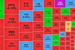 Cổ phiếu ngân hàng kéo VN-Index giảm sâu, VIC ngược dòng lập đỉnh