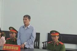 Gia Lai: Hiếp dâm bé gái 2 tuổi, đối tượng lãnh án 20 năm tù