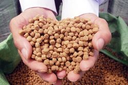 Nhập thức ăn thủy sản kém chuẩn, United Biotech Việt Nam bị phạt 240 triệu đồng