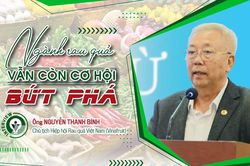 Ngành rau quả vẫn còn cơ hội bứt phá