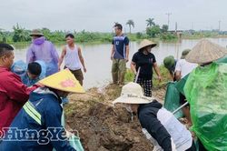 Hưng Yên: Kịp thời xử lý ngập úng và khắc phục sự cố vỡ kè sông Bần - Vũ Xá