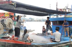 Ngư dân Nghệ An khắc phục khó khăn, ra khơi sau bão