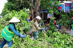 Lực lượng chức năng làm việc liên tục, thu gom lượng rác khổng lồ sau bão số 5