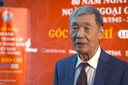 80 năm Ngoại giao Việt Nam: Những 'cổ thụ' che mát 'mầm xanh'