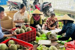 Kết nối tiêu thụ hàng tấn nông sản, sẻ chia cùng bà con Nghệ An sau bão số 5