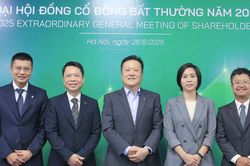 Bảo hiểm DBV vừa bầu thêm Phó Chủ tịch Hội đồng quản trị