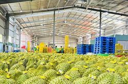 Ngăn chặn, xử lý vi phạm dư lượng hóa chất trong nông, lâm, thủy sản và truy xuất, xử lý tận gốc