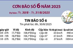 Đường đi của bão số 6 năm 2025 từ 7h ngày 30/8 đến 7h ngày 31/8