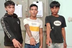 Đạo chích lộ diện
