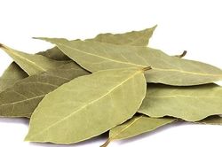 Loại lá rụng đầy vườn ở Việt Nam, ra nước ngoài 2 triệu đồng/kg