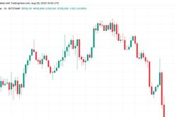 Giá Bitcoin giảm xuống mức thấp nhất kể từ tháng 7 khi thanh lý vượt quá 530 triệu USD
