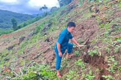 Phát hiện vết nứt dài cả trăm mét trên sườn núi, xã vùng cao Nghệ An cử người canh gác để di dời dân