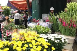 Những loại hoa nên chọn để cúng Rằm tháng 7 đem đến phúc khí, tài lộc