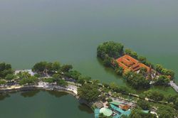 Những người đi về phía biển