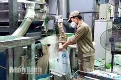 Ninh Bình: Điểm đến đầu tư hấp dẫn