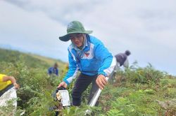 Chung tay làm đẹp thảo nguyên Bùi Hui