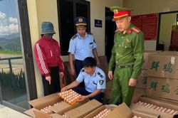 Tuyên Quang: Ngăn chặn vụ nhập lậu hàng chục nghìn quả trứng gà