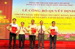 Đảng ủy UBND TPHCM chuyển giao, tiếp nhận 86 tổ chức đảng