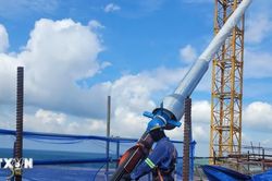 Thành phố Hồ Chí Minh tổ chức căng bó cáp dây văng đầu tiên cầu Phước An
