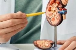 8 thói quen tàn phá 2 quả thận nhưng nhiều người vẫn cố tình mắc phải