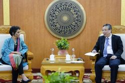 Trọng tâm hợp tác giữa UNDP và Việt Nam sẽ hướng vào carbon xanh, huy động tài chính khí hậu