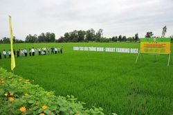 Đầu Trâu Bio-Canxi: Vì một nền nông nghiệp bền vững