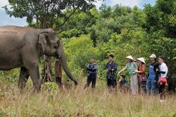 Câu chuyện về người con Tây Nguyên và ước mơ làm du lịch cộng đồng