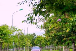 Thời tiết Nghệ An ngày 6/9: Ngày trời nắng, chiều và đêm có mưa rào và dông rải rác