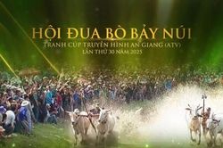 Hội Đua bò Bảy Núi tranh cúp Truyền hình An Giang (ATV) lần thứ 30 năm 2025