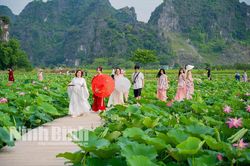 Ninh Bình đón đầu xu thế nông nghiệp hữu cơ