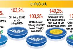 CPI tháng 8 tăng nhẹ, 8 tháng đầu năm 2025 giữ ổn định