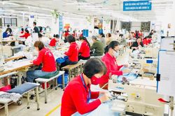 Kỹ năng số và kỹ năng xanh: chìa khóa cho người lao động