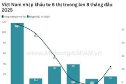 Việt Nam xuất nhập khẩu với ASEAN vượt 60 tỷ USD trong 8 tháng