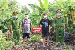 Ngăn chặn vụ tuồn 10 cá thể lợn bị nhiễm dịch tả Châu Phi tuồn vào chợ dân sinh