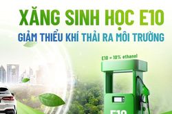 Xe nào dùng được, xe nào nên tránh?