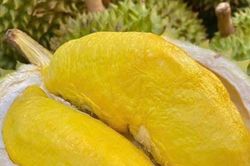 Giá sầu riêng hôm nay 8/9: Thị trường giảm nhẹ, Malaysia tăng nhập khẩu kỷ lục