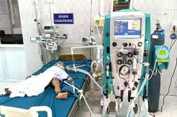 1 bé tử vong, 1 trường hợp nguy kịch do bị ong vò vẽ đốt