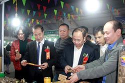 Nghệ An xem xét sửa đổi, nâng mức hỗ trợ hoạt động xúc tiến thương mại và phát triển xuất khẩu giai đoạn 2026-2030