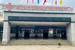 Gia Lai: Bị ong vò vẽ đốt, 1 trẻ tử vong