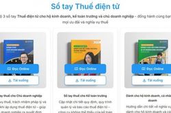 Ban hành 3 cuốn sổ tay thuế điện tử hỗ trợ chủ doanh nghiệp, kế toán trưởng và cá nhân kinh doanh