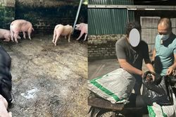 Hà Nội: công an xã ngăn chặn vụ tuồn thịt lợn nhiễm bệnh vào chợ dân sinh